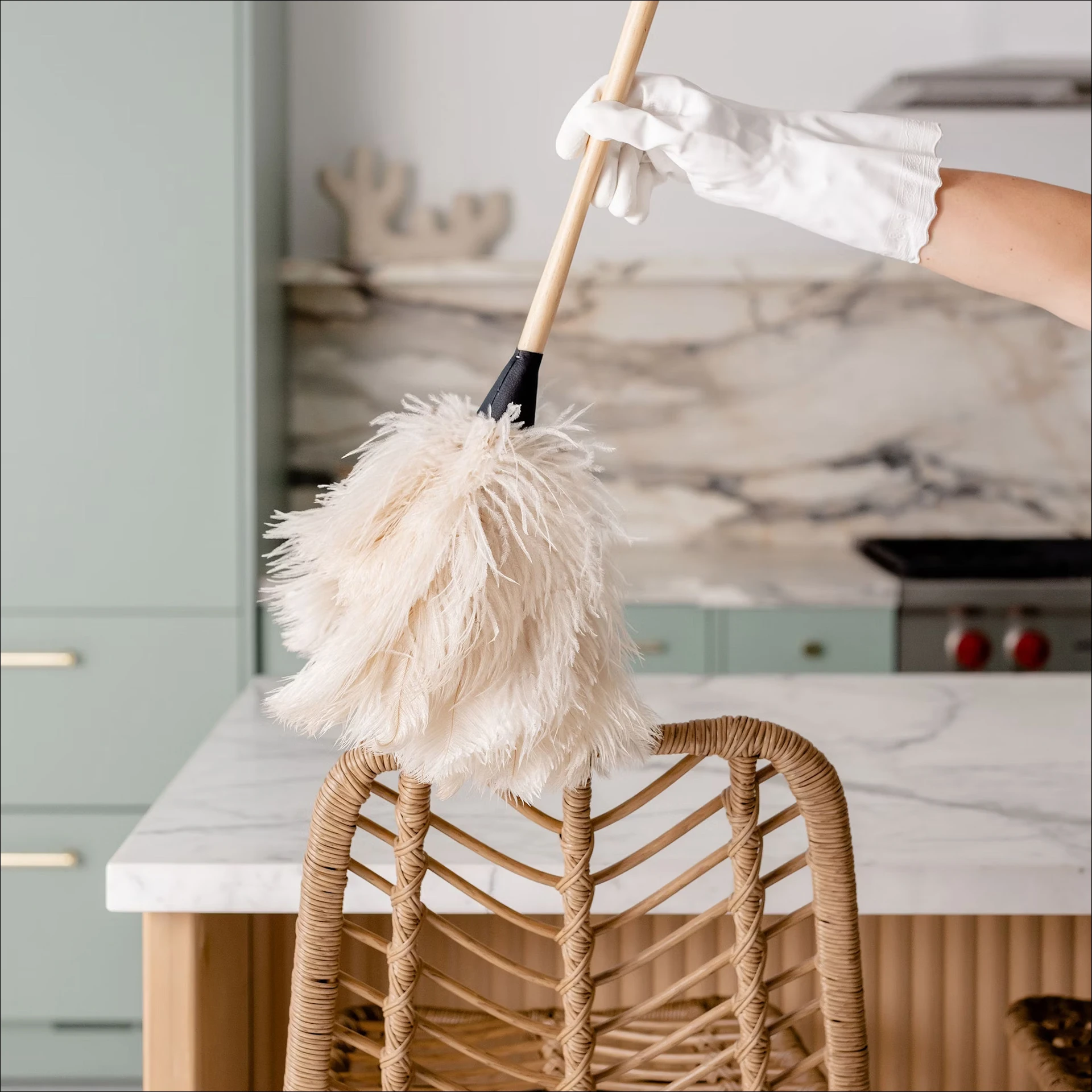cleaning